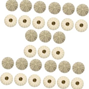 IMIKEYA 30 piezas de maceta de aire de erizo de mar verde, decoración de erizo de mar, plantas en miniatura, decoraciones de peces para tanque, IMIKEYA 30 piezas de maceta de aire de erizo de mar verde, decoración de erizo de mar, plantas en miniatura, decoraciones de peces para tanque,