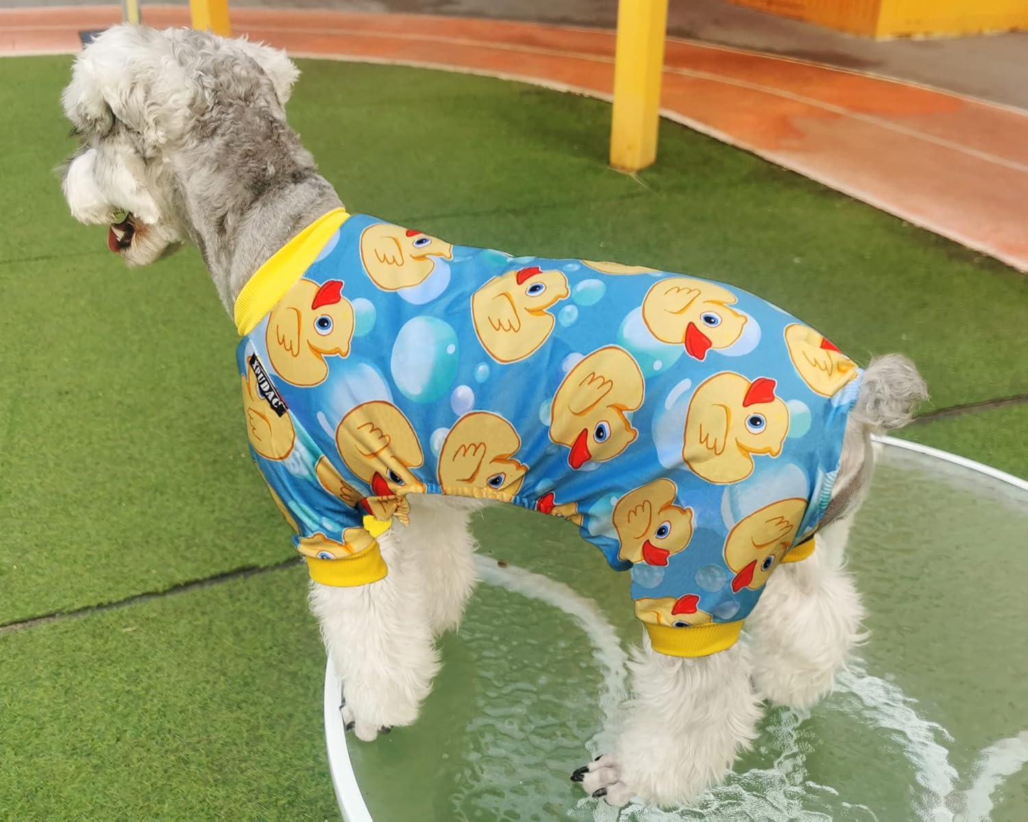 XPUDAC Pijama de 4 piezas para perros pequeños, ropa para cachorros, trajes para perritos, camisas de Navidad, pijamas para mascotas y gatos, XXL