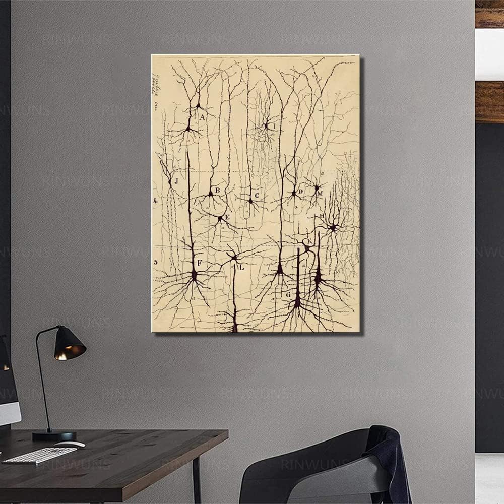 Dibujo de neuronas, Santiago Ramón y Cajal, impresión artística antigua de anatomía cerebral, pósteres vintage, pinturas en lienzo, pósteres e