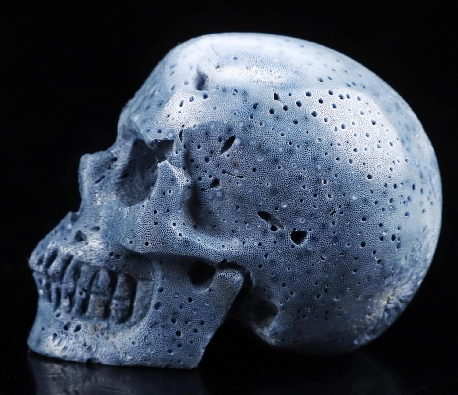 2.0 “esponja azul coral cráneo de cristal, escultura de arte de piedras preciosas talladas a mano, estatua de piedra curativa de Reiki.1388