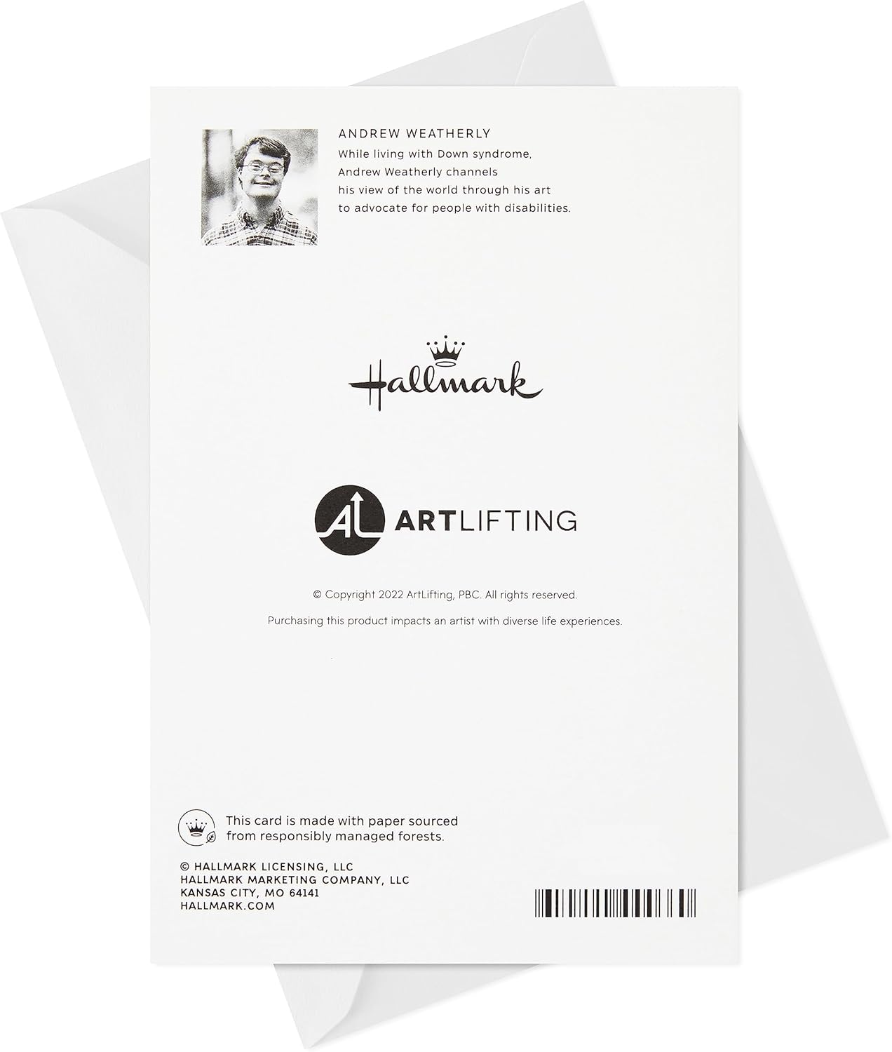 Hallmark Paquete de 4 tarjetas en blanco, tarjetas para todas las ocasiones (buen día)
