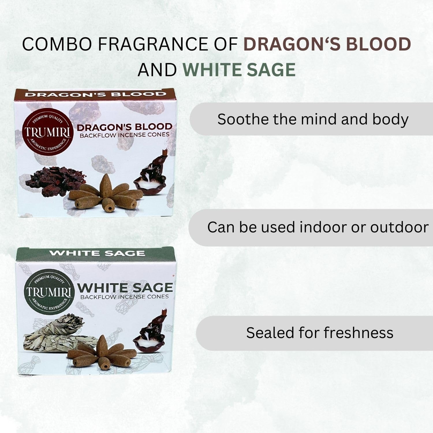 Conos de incienso de reflujo  Paquete combinado de 20 conos de incienso en cascada  10 dragones sangre + 10 salvia blanca  Conos de incienso  Conos