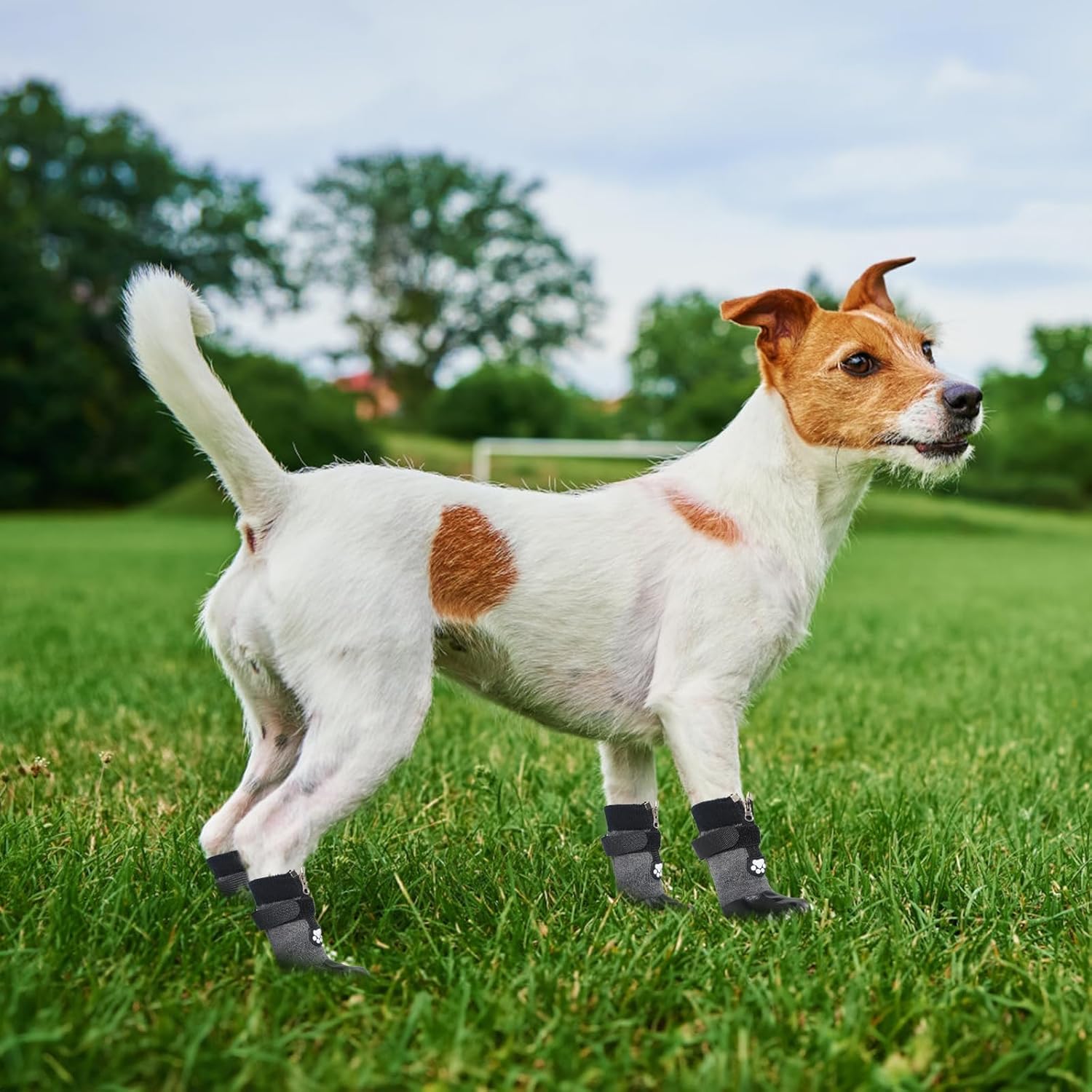 Botas para perro, calcetines impermeables para pavimento caliente, botines antideslizantes para perros, protectores de patas para suelos de madera