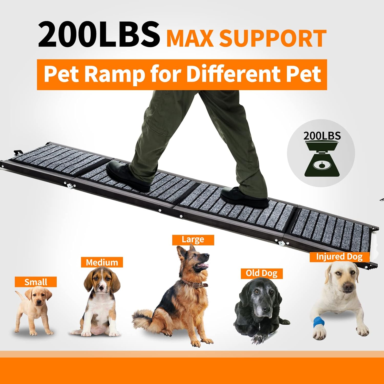 Rampa plegable para perros medianos y grandes, rampa de escalera portátil para mascotas con superficie antideslizante, 62 pulgadas de largo y 17