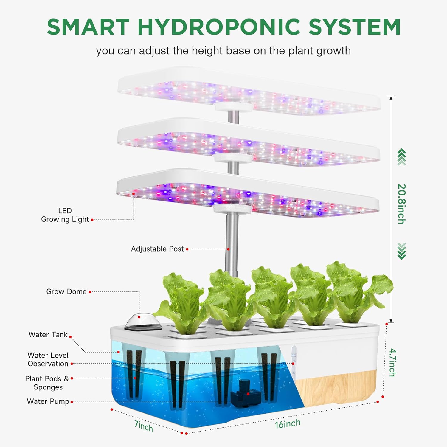 Sistema de cultivo hidropónico, 12 cápsulas, jardín de hierbas para interiores con luz LED, kit de germinación de plantas con sistema de bomba,