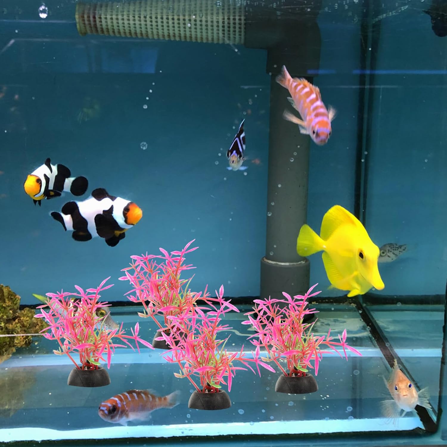 POPETPOP 20pcs acuario paisajismo tanque de juguete grande tanque de peces viva plantas suculentas plantas artificiales acuáticas falsas decoración