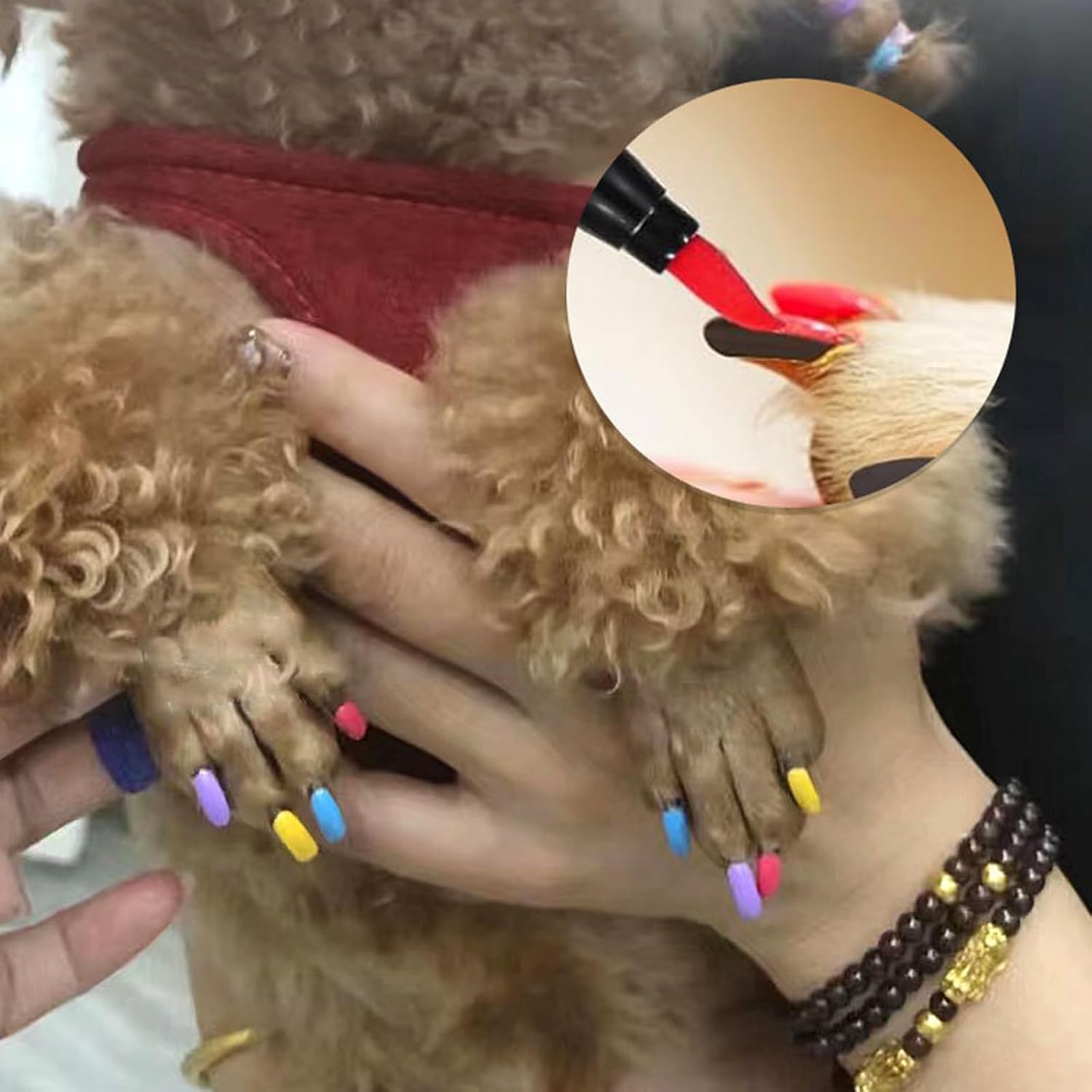 Juego de 12 esmaltes de uñas para perro, 12 colores, juego de esmaltes de uñas para mascotas, secado rápido, a base de agua, fácil de quitar