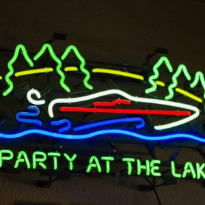 Queen Sense Letrero de neón para fiesta en el lago de 24 x 18 pulgadas (varios tamaños), barra de cerveza, pub, cueva, hombre, negocios, lámpara de Queen Sense Letrero de neón para fiesta en el lago de 24 x 18 pulgadas (varios tamaños), barra de cerveza, pub, cueva, hombre, negocios, lámpara de