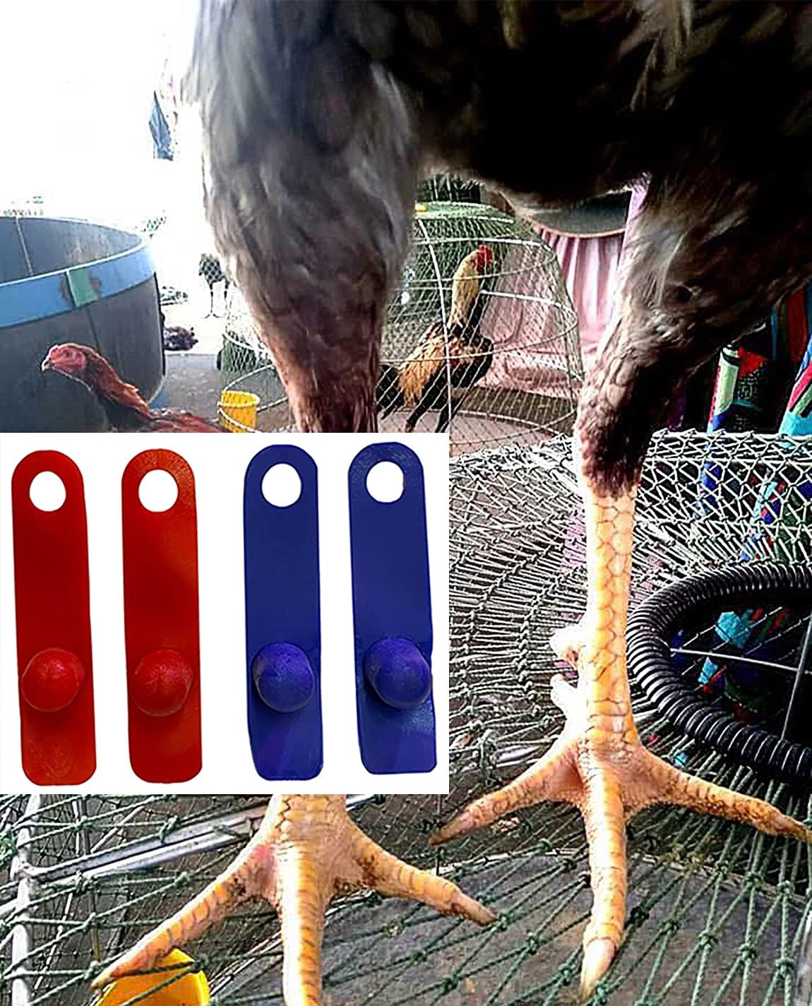 R1 Rooster Booster Protection Fighting Rooster Gamefowl – Guante protector de pollo, botas de seguridad para aves de corral para aves de corral,