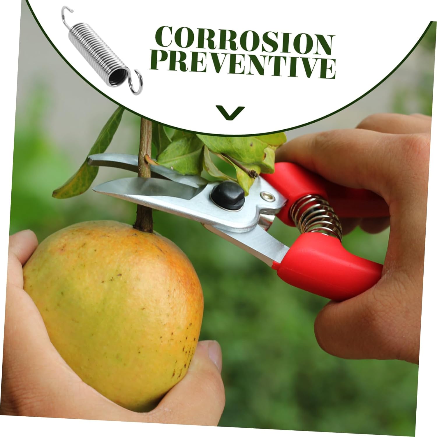 10 Uds. Accesorios de resorte manual Tijeras altas de acero reemplazo de resorte de acero inoxidable podadoras de mano muelles árbol rama