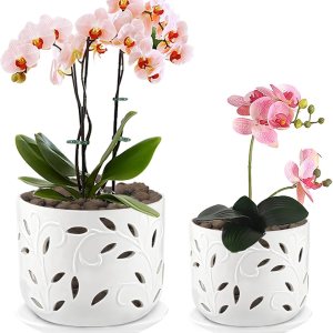 EFISPSS Maceta de orquídea con agujeros, macetas de cerámica de 5+6 pulgadas con agujeros de drenaje y bandeja, promueve el crecimiento de plantas EFISPSS Maceta de orquídea con agujeros, macetas de cerámica de 5+6 pulgadas con agujeros de drenaje y bandeja, promueve el crecimiento de plantas