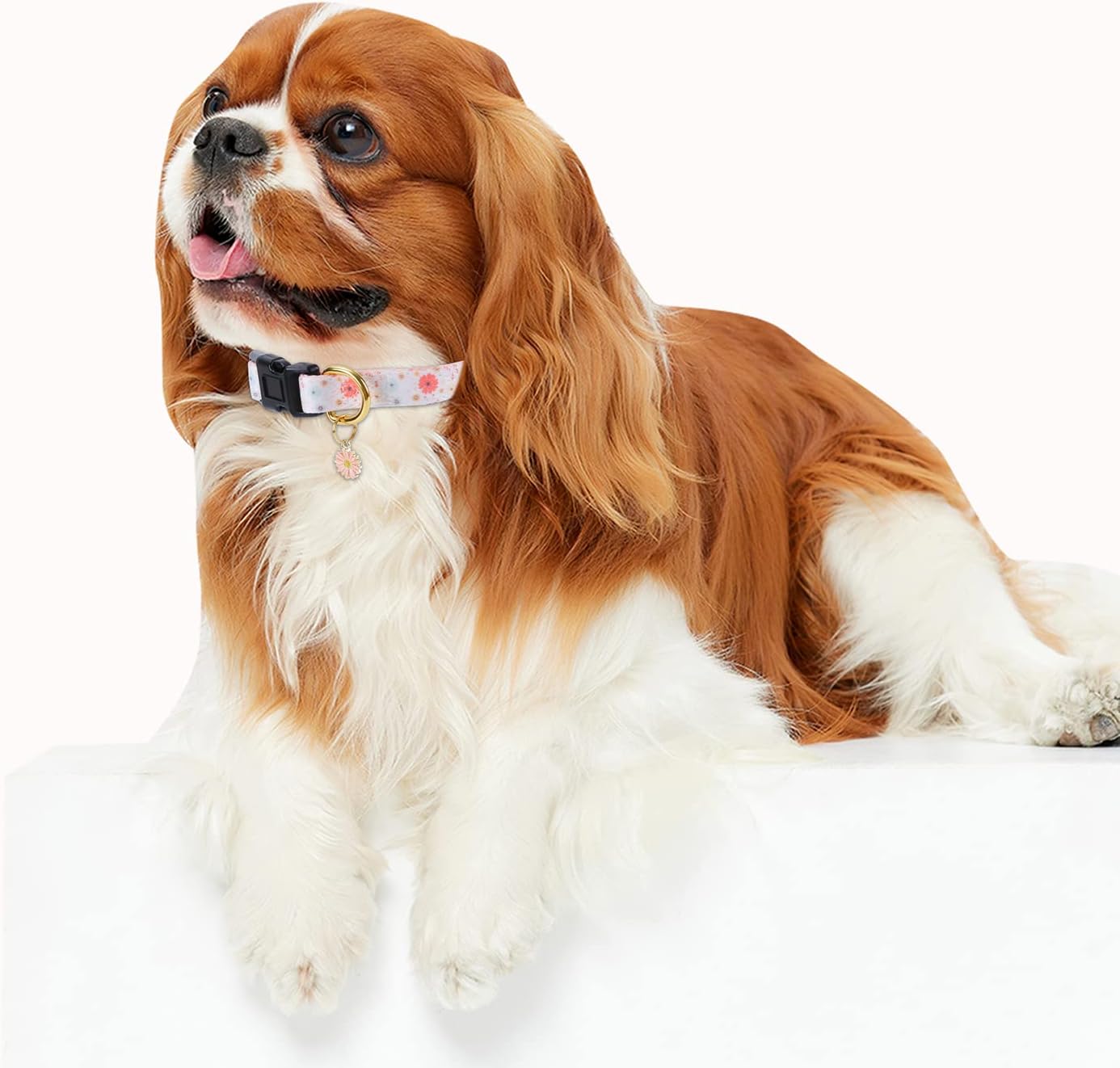 Collar de perro de algodón hecho a mano para perros pequeños, medianos y grandes, diseño de margaritas beige con dije, ideal para perros hembras,