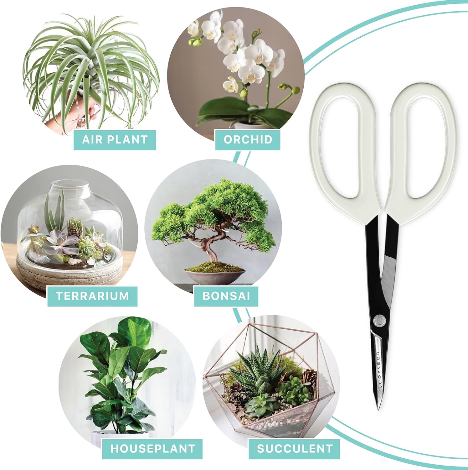 Tijeras de jardinería de precisión Tijeras de podar para orquídeas, bonsái, hidropónico, cortadora de flores, herramienta de jardín moderna