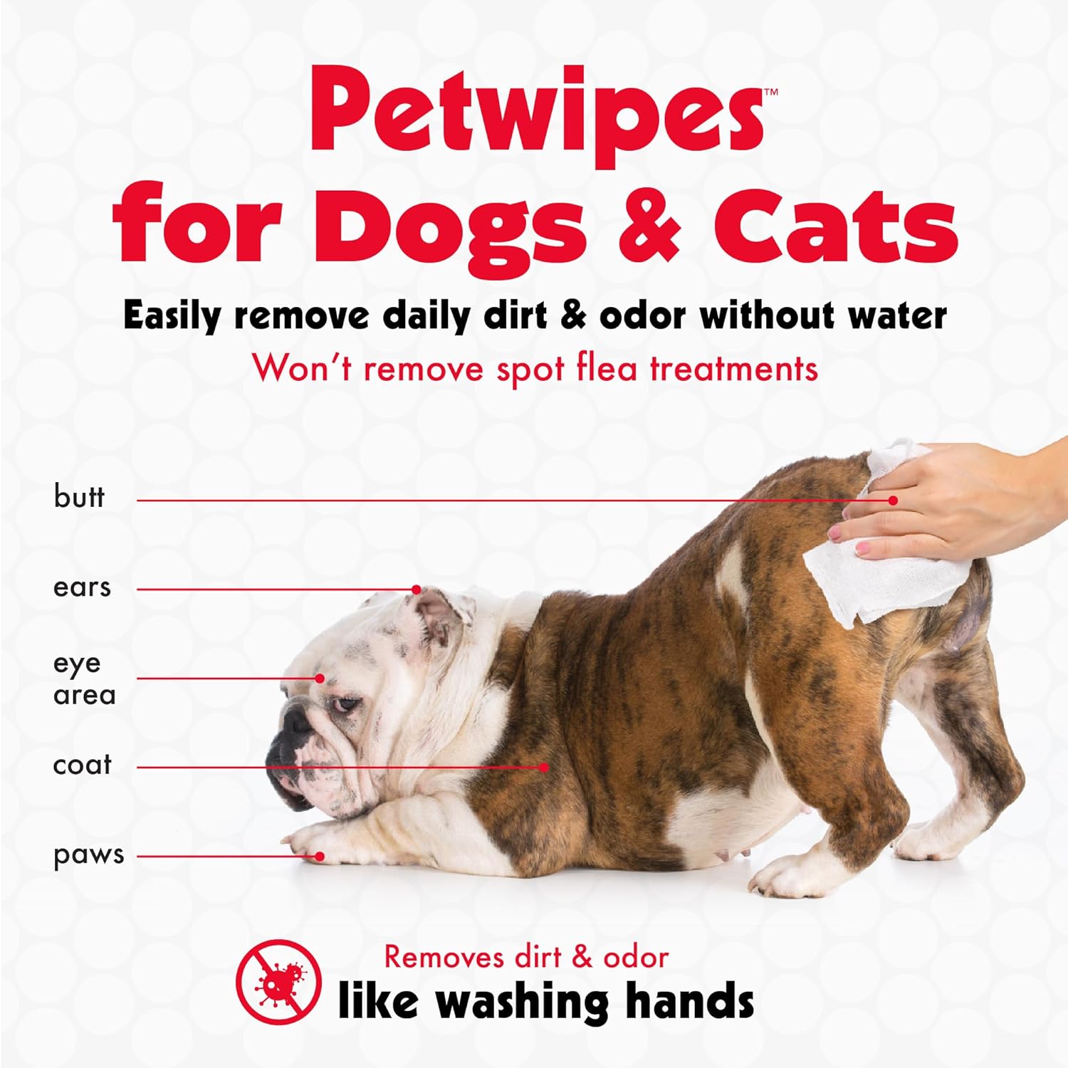 Petkin Toallitas para mascotas para perros y gatos, 200 toallitas grandes  Elimina la suciedad y el olor como lavarse las manos  Limpia orejas,