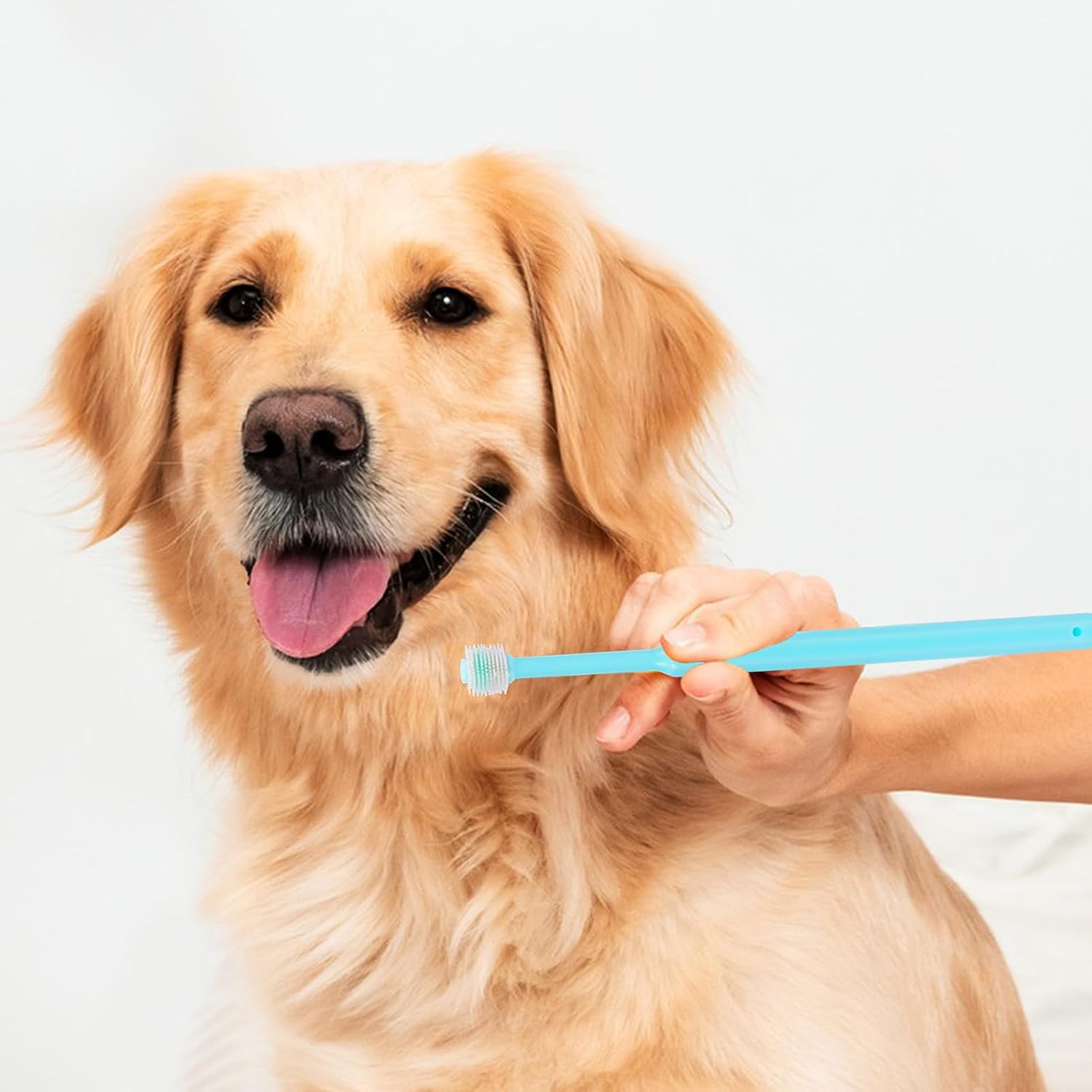 Mozeat Lens Cepillo de dientes pequeño para perros y gatos, paquete de 2 cepillos de dientes de silicona suave de 360 grados, para el cuidado dental