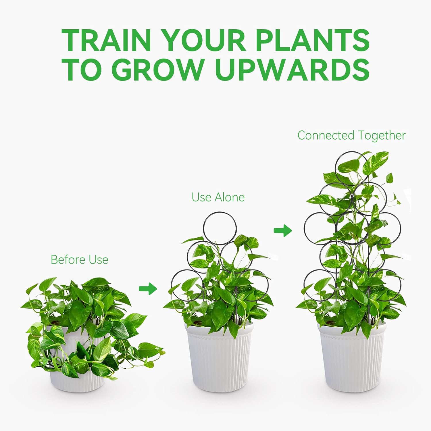GROWNEER Paquete de 6 enrejados de jardín pequeños para plantas en maceta, enrejado de plantas de interior de 15.7 pulgadas, soporte apilable para