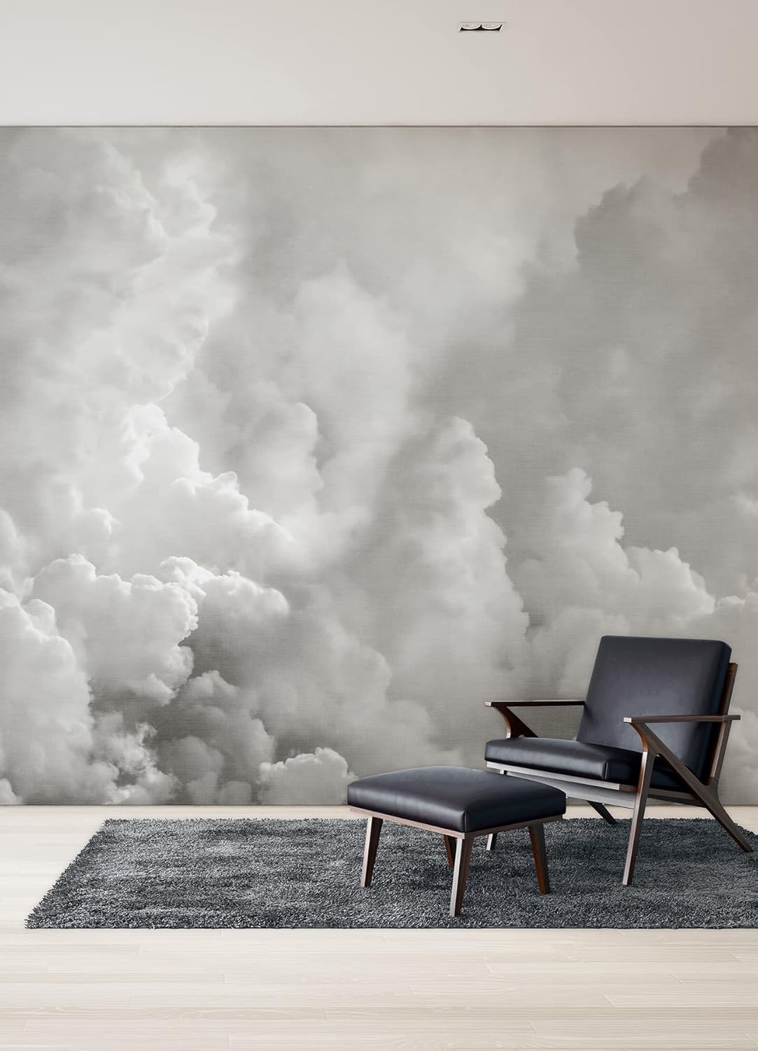 REMIX Walls by Katie Hunt Mural de pared gris paloma en las nubes