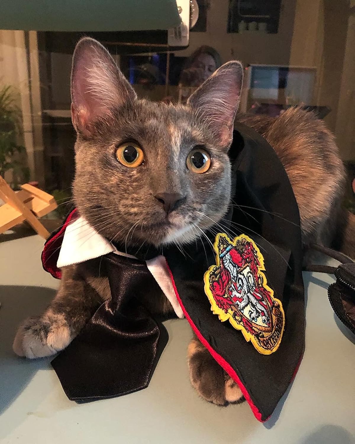 Capa de gato de Halloween con corbata para el cuello, disfraces de gato de Halloween, disfraces de perro pequeño, ropa de Halloween para mascotas,