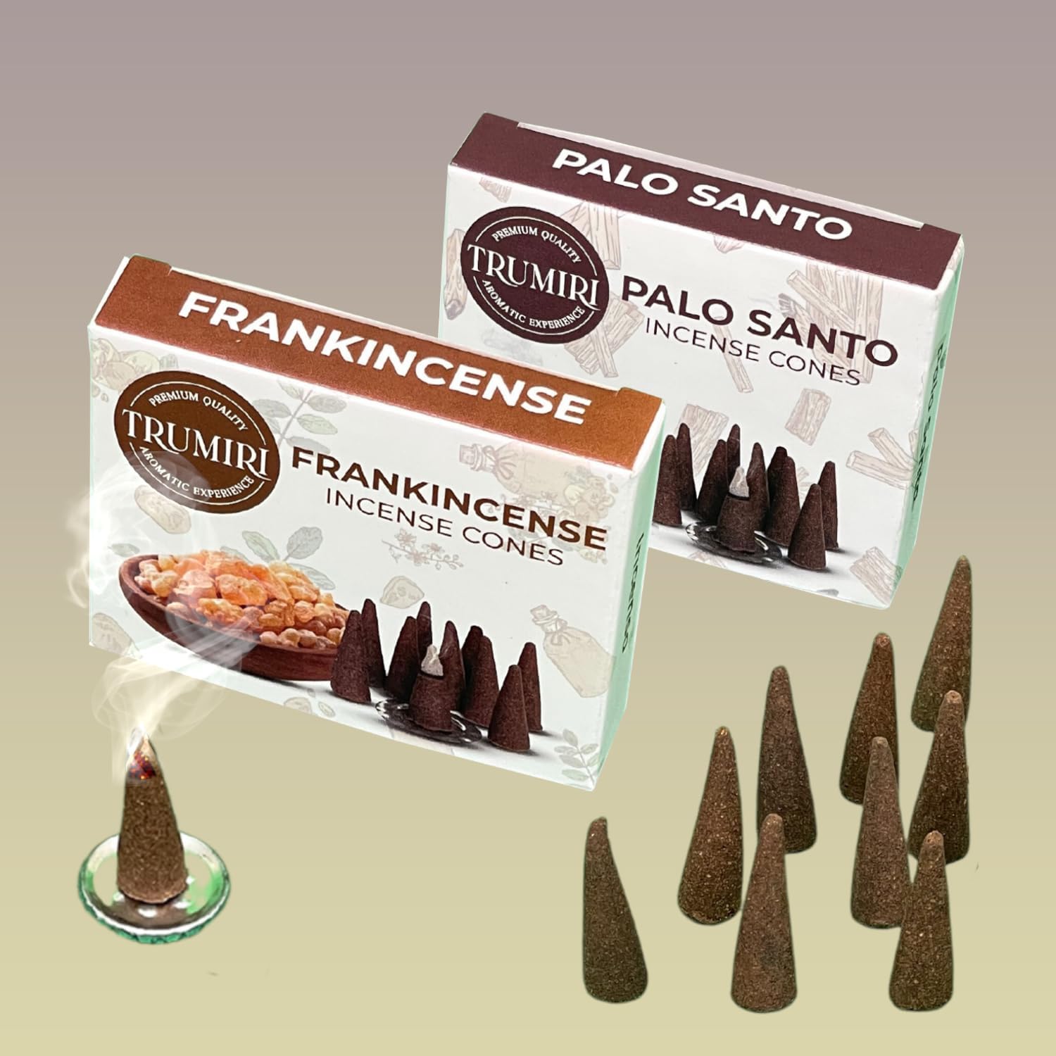 Conos de incienso  Paquete combinado de 20 conos de incienso  10 incienso + 10 Palo Santo  Conos de insencia  Conos de incienso perfumados  Aromas