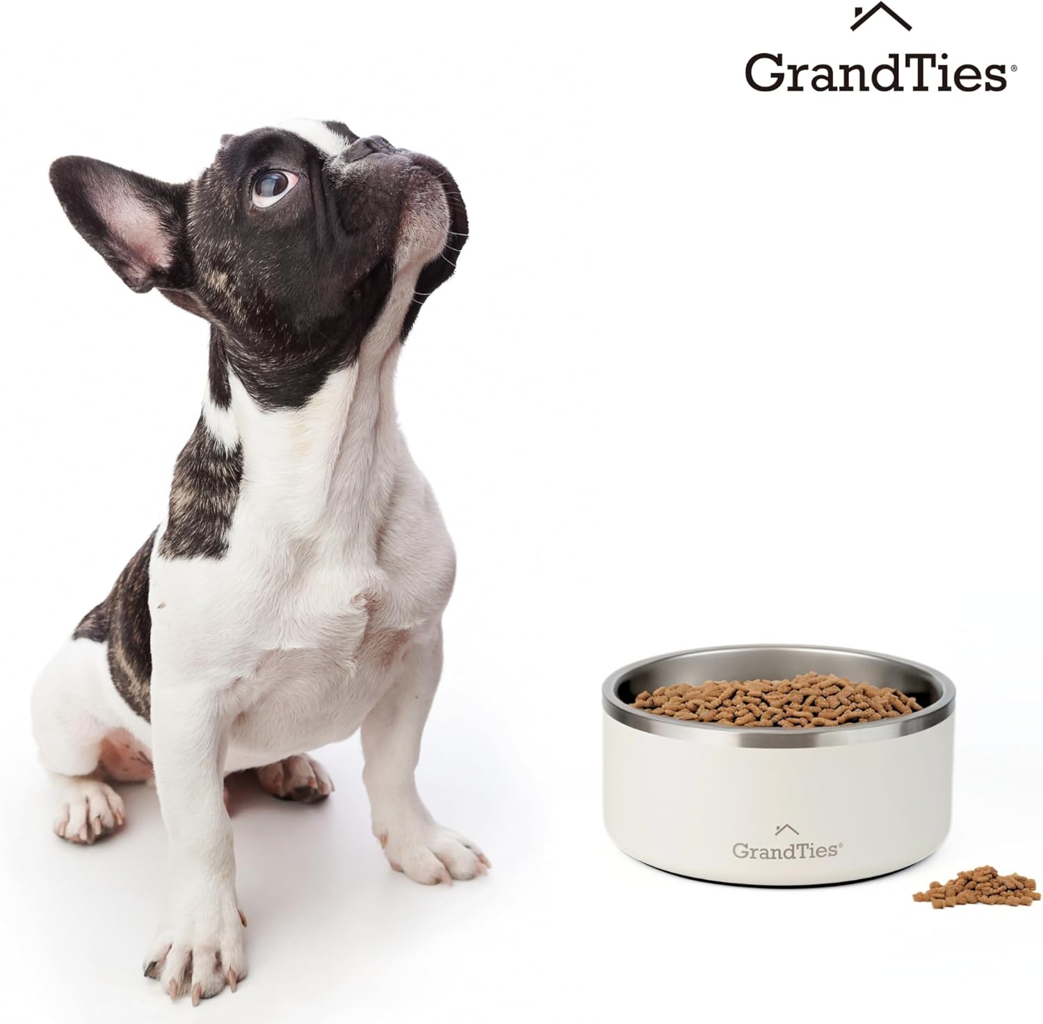 GrandTies Cuenco de acero inoxidable grabado para mascotas  Tazón reutilizable con aislamiento sin BPA para gatos y perros  Cuenco grande y