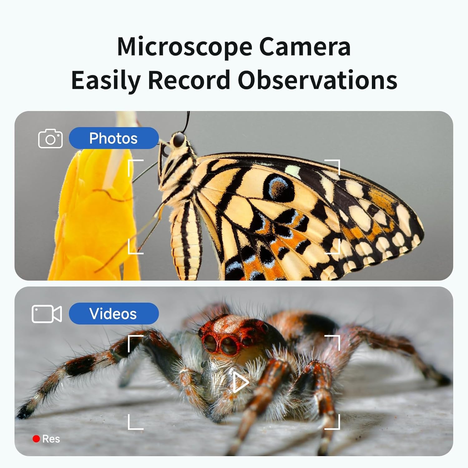 BEAVERLAB Darwin Microscopio digital de mano M2 con pantalla IPS de 4.3 pulgadas, microscopio electrónico portátil 1600X para adultos y niños,