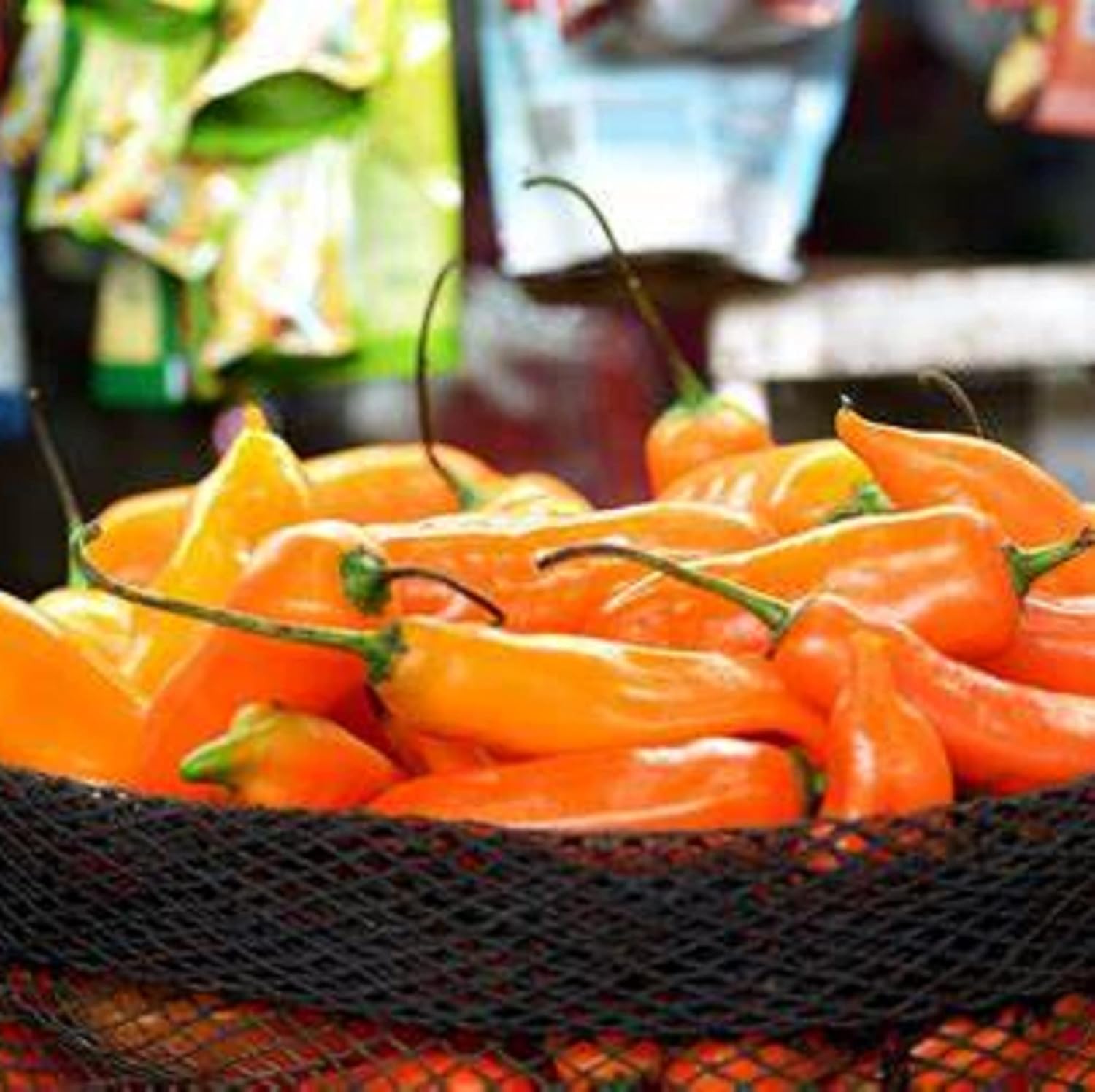 CHUXAY GARDEN Aji Amarillo, semillas de pimienta amarilla peruana, 30 semillas, chile picante, sabor único, delicioso pimiento sazonado ideal para