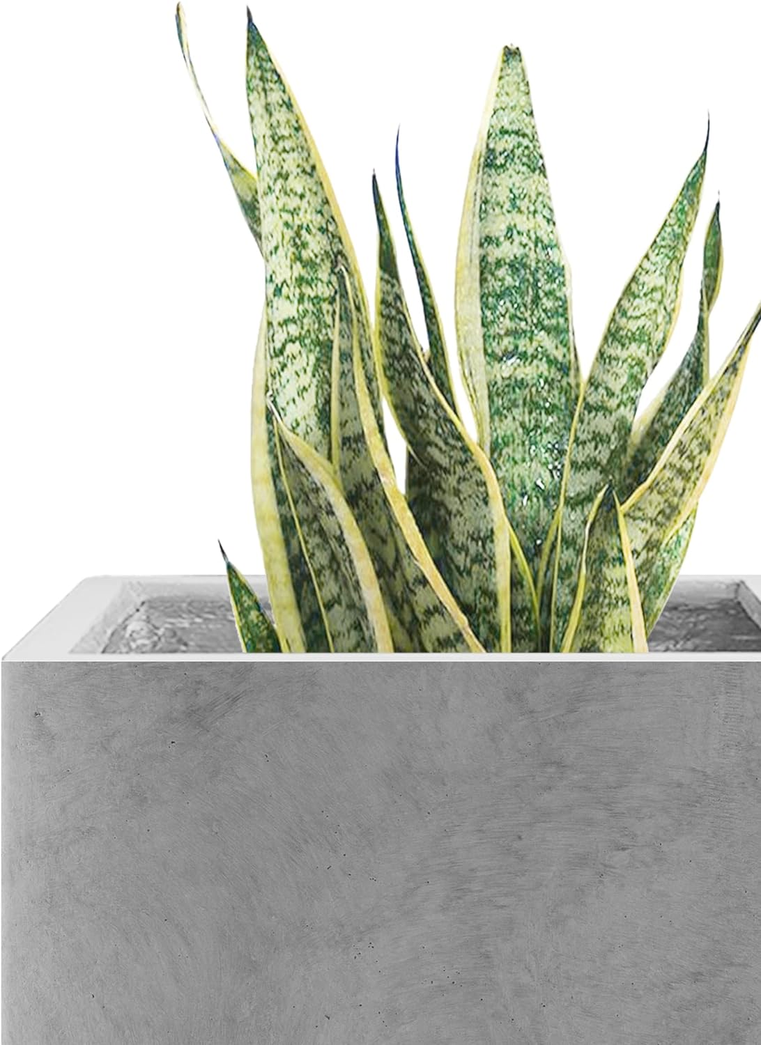 Kante Maceta cuadrada de hormigón de 10 pulgadas para exteriores, interiores, patio, jardín, maceta grande con orificio de drenaje y tapón de goma,