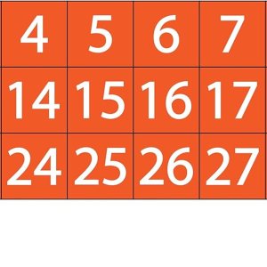 Imanes de fecha y calendario (naranja tostado, 0.5 x 0.5 pulgadas) Imanes de fecha y calendario (naranja tostado, 0.5 x 0.5 pulgadas)