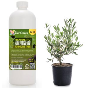 Gardenera – Fertilizante líquido prémium para plantas de olivo, concentrado 3-1-2 para plantas y flores de interior, alimento orgánico para olivos, Gardenera – Fertilizante líquido prémium para plantas de olivo, concentrado 3-1-2 para plantas y flores de interior, alimento orgánico para olivos,