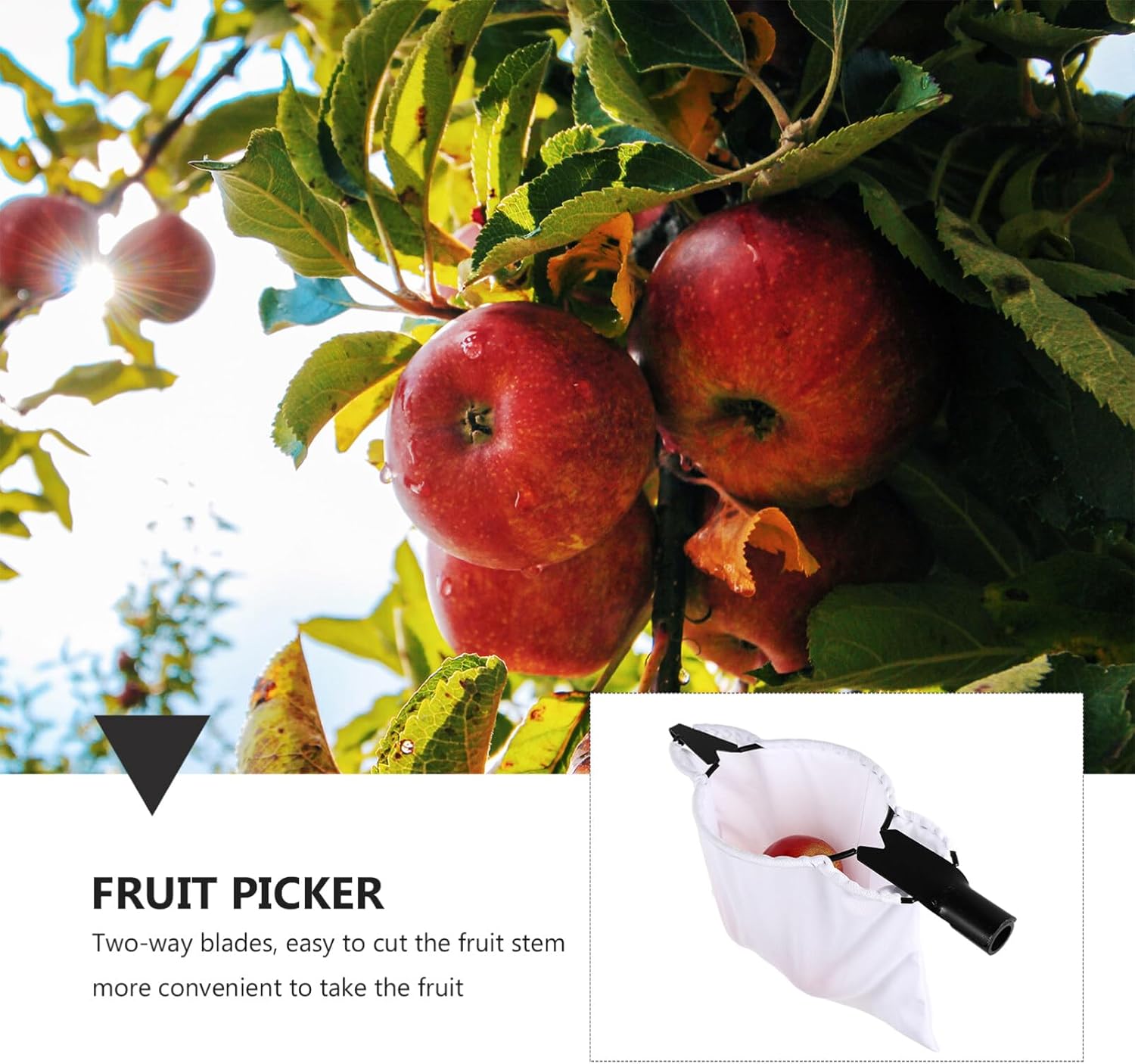 iplusmile Recolector de frutas Cosechadora de frutas Poste de recolección de frutas Herramienta de fruta de árbol de acero inoxidable Equipo de