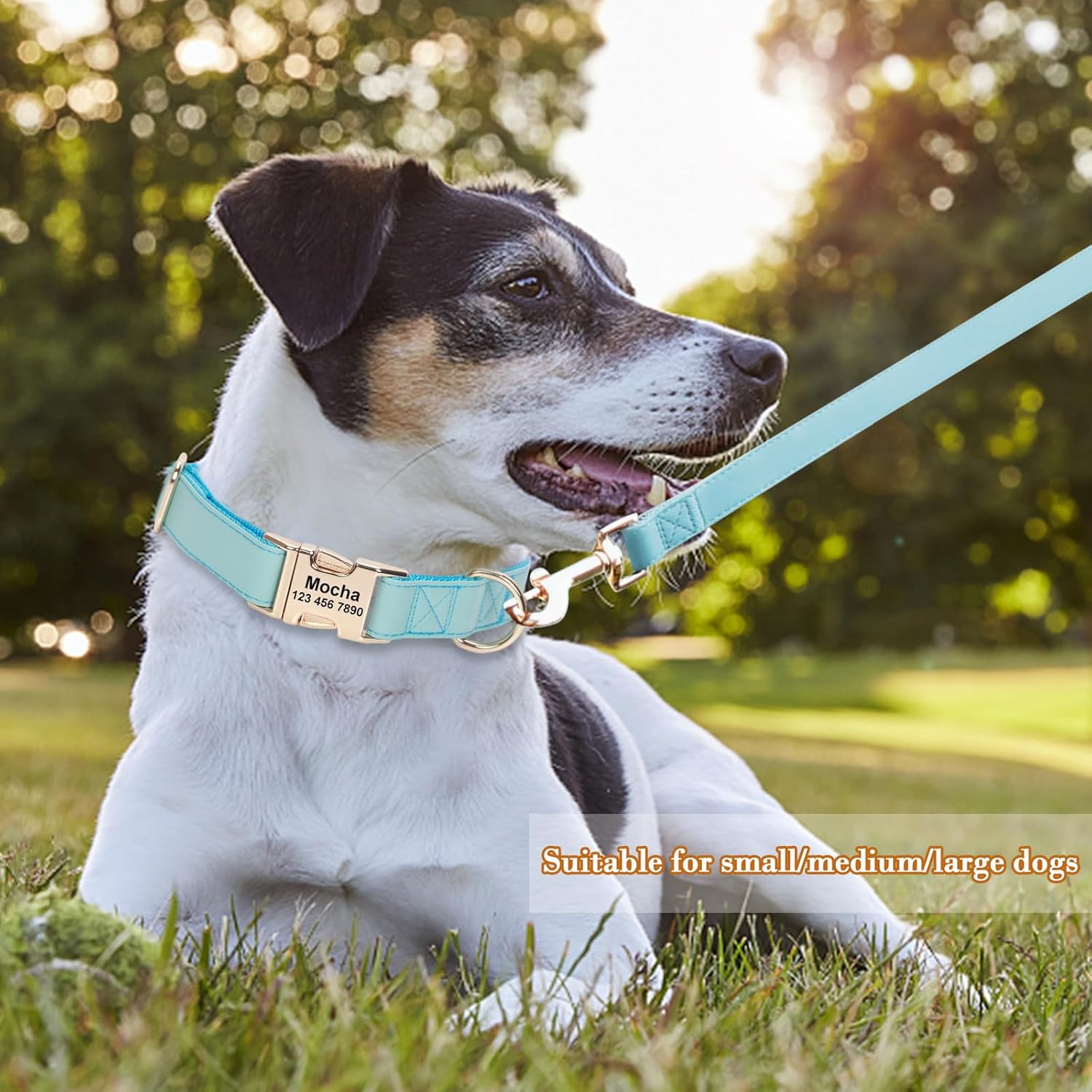 Collar de perro personalizado con nombres y número de teléfono grabado, personalizado para mascotas pequeñas, medianas y grandes, etiquetas para