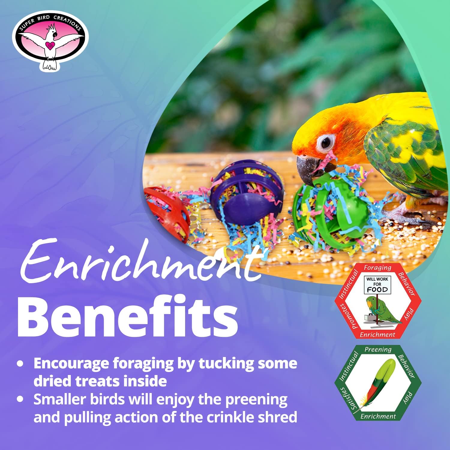 Super Bird Creations SB760 – Juego de 3 bolas de gofres para pájaros, varía