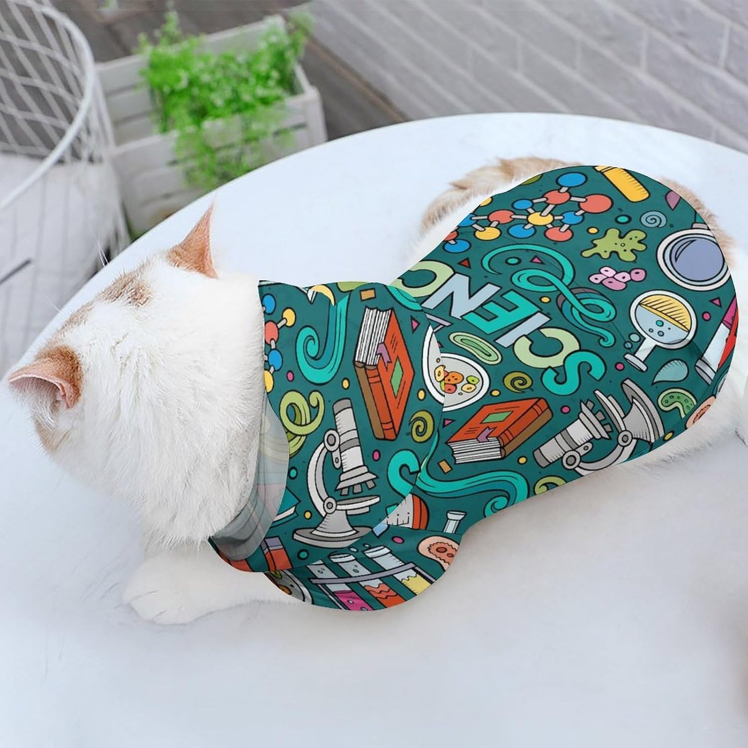 Physics Biochemistry Science Dog Hoodie Hooded Sweatshirt Pet Clothes with Hat for Small Puppy and Cats