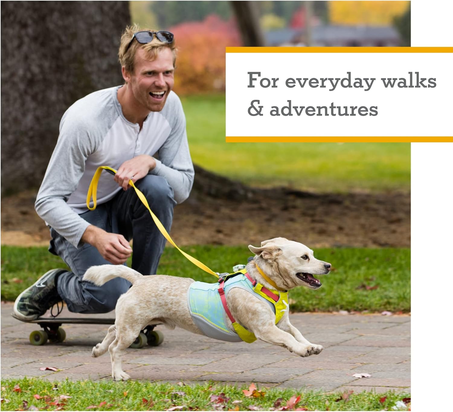 Ruffwear, Hi & Light, arnés ligero para perro diario, correr, caminar, senderismo, uso durante todo el día