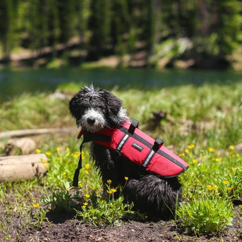 ZippyPaws Chaleco salvavidas para perros y cachorros, chaleco salvavidas para entrenamiento de natación para perros pequeños, medianos y grandes,
