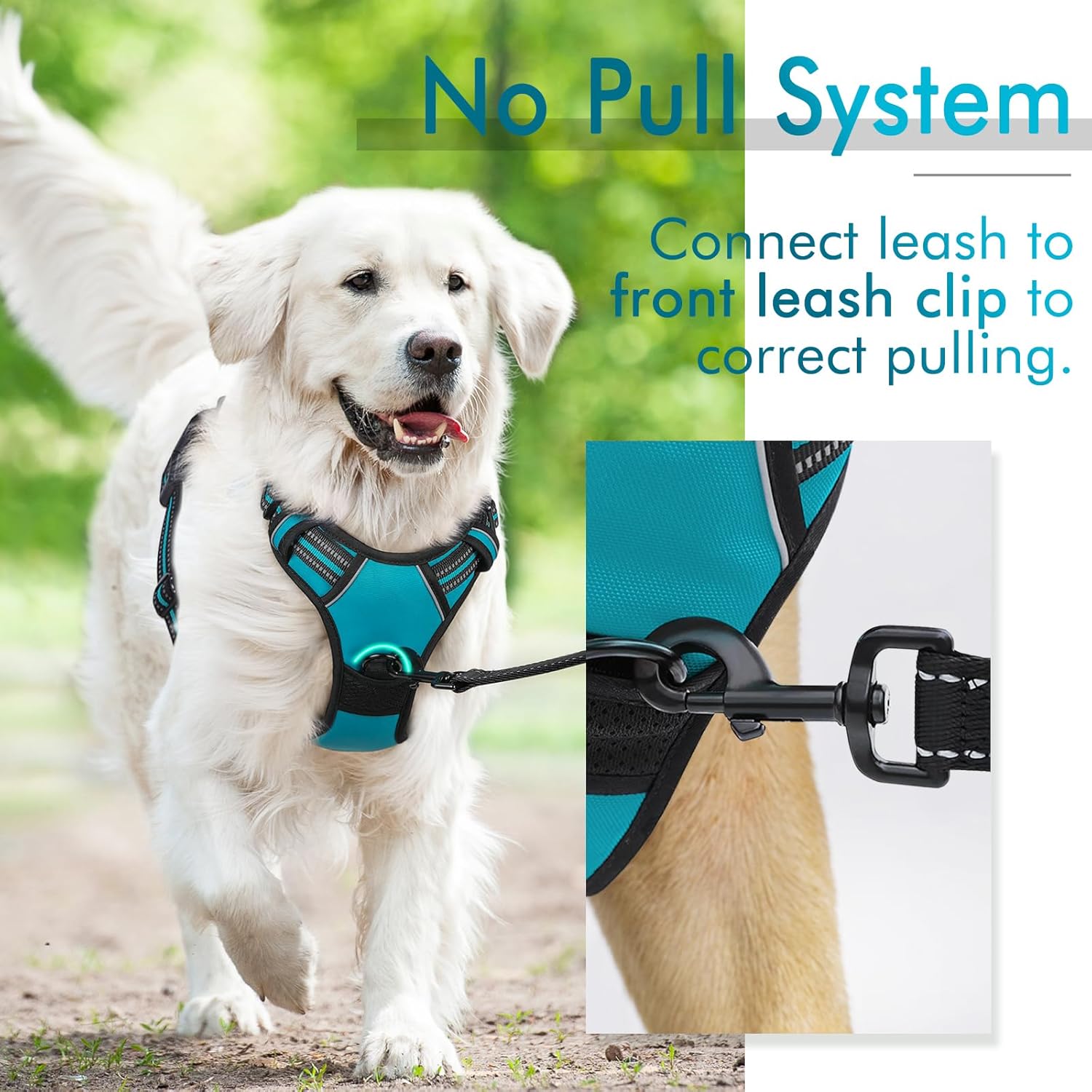 rabbitgoo Arnés para perro, arnés sin tirones para mascotas con 2 clips para correa, chaleco acolchado suave ajustable para perro, chaleco Oxford