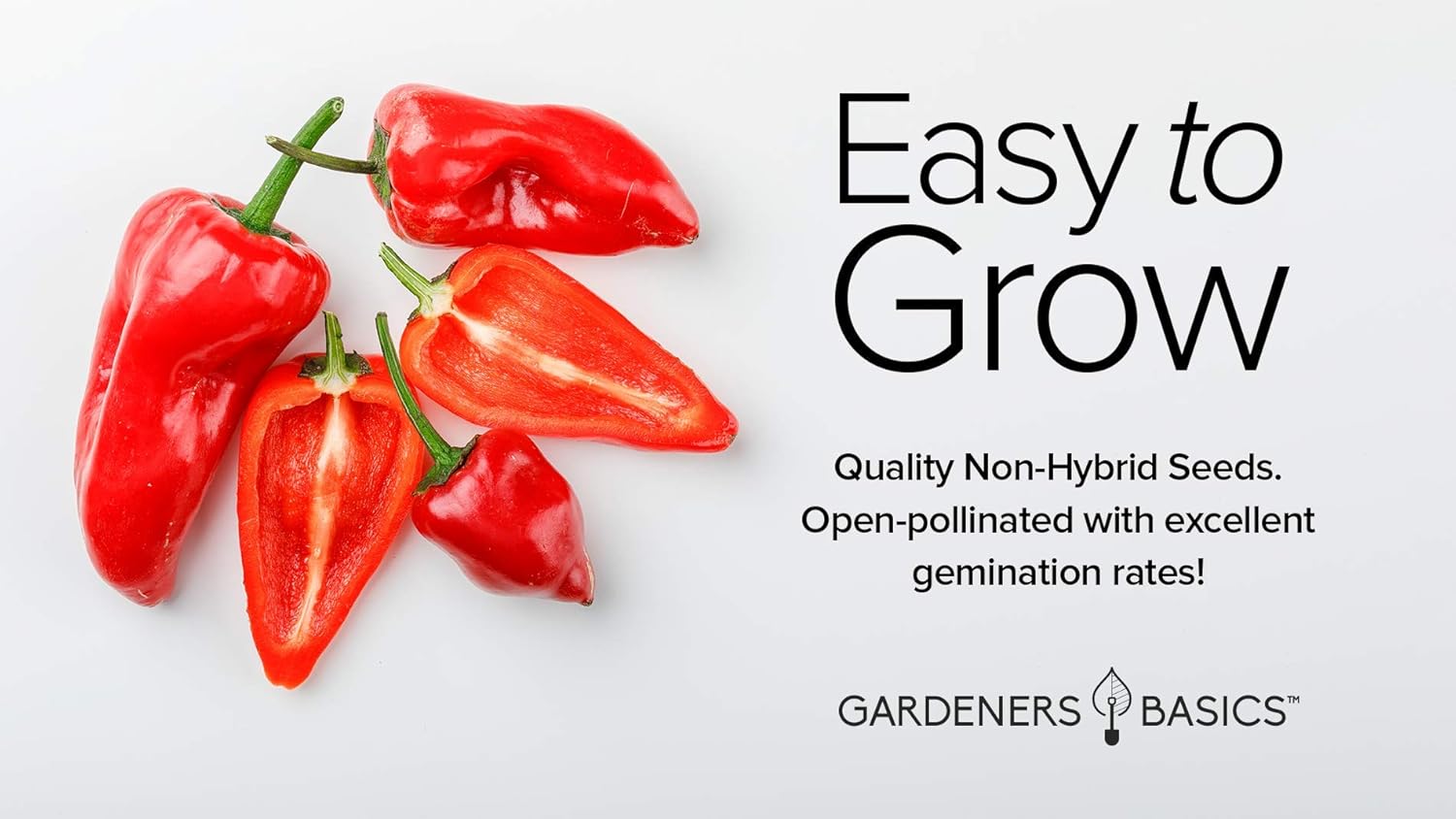 Semillas de pimiento serrano para plantar pimientos anchos sin OMG, semillas de plantas para verduras de jardín en el hogar, son un gran regalo para