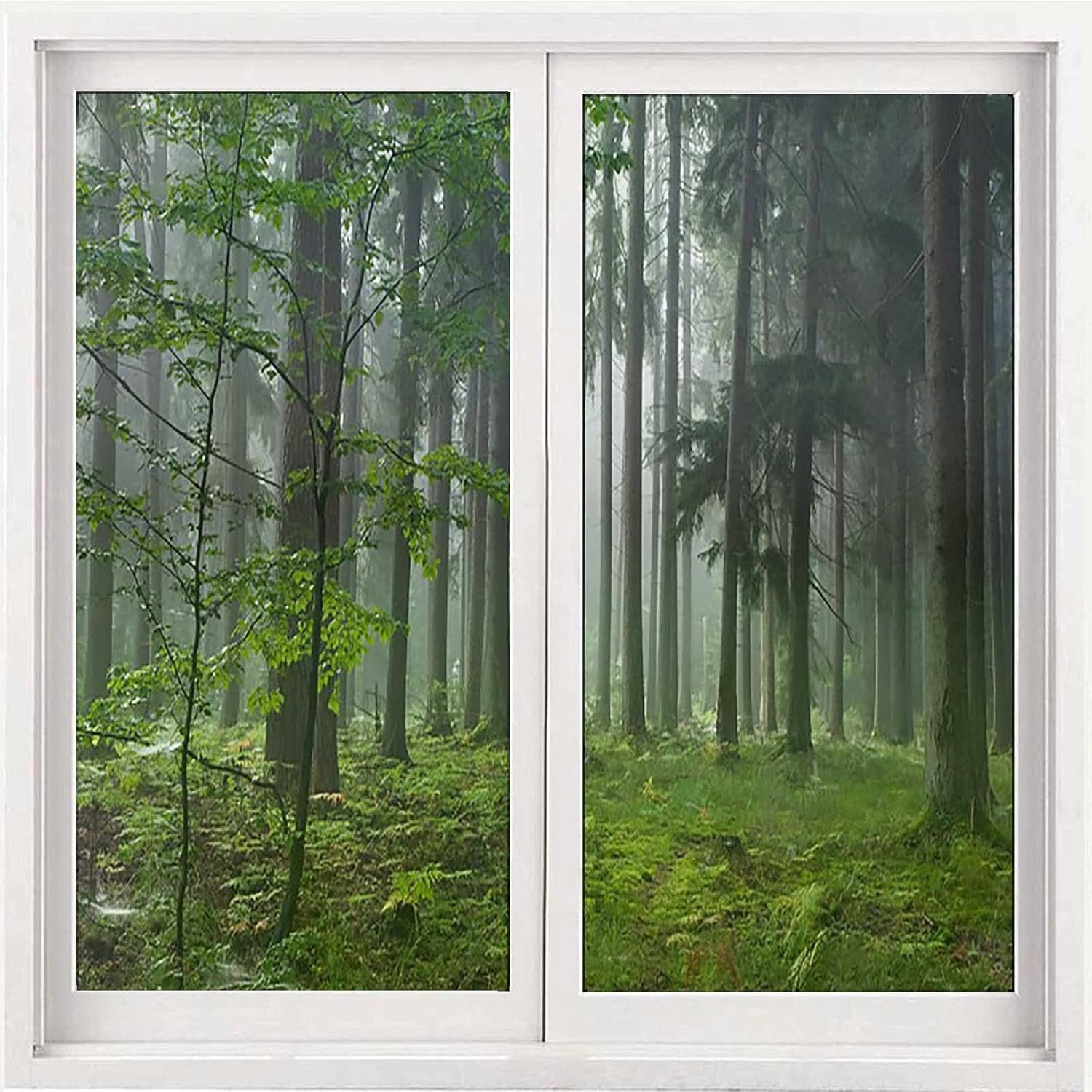 Juego de 2 películas esmeriladas para ventana, diseño de bosque brumoso, plantas de selva brumosa, árboles de bambú, película esmerilada para