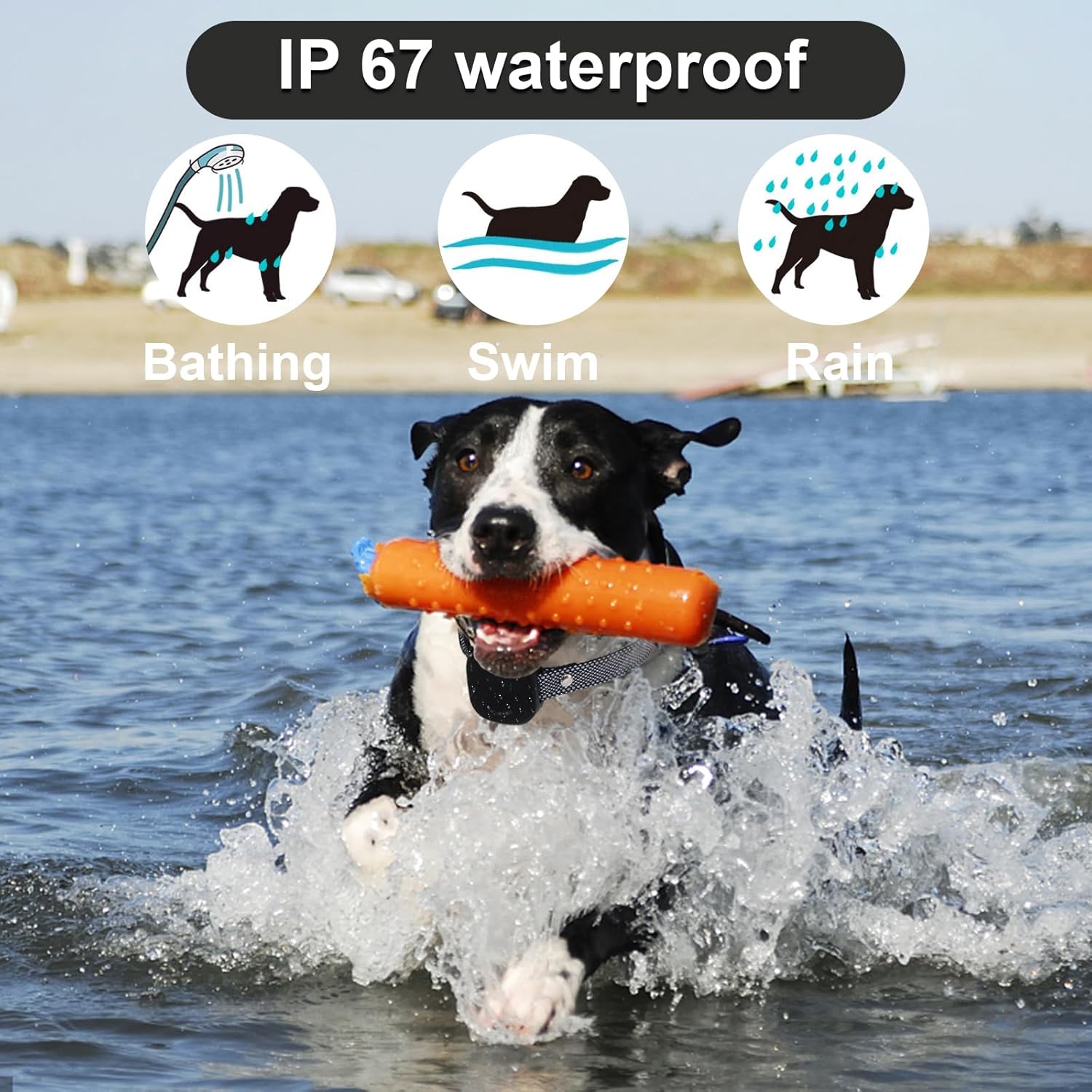 GUIASIPULE Collar de entrenamiento impermeable con 4 modos de entrenamiento seguros, collar E de perro de 2600 pies con control remoto (para perros