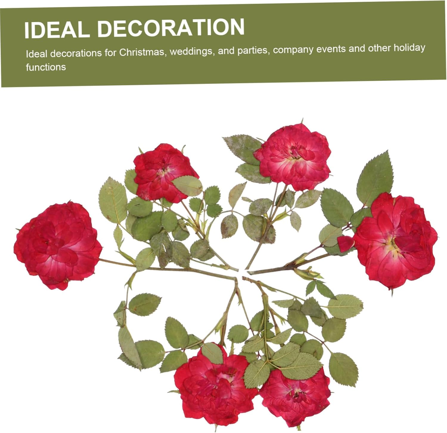 EXCEART 1 juego de flores secas, hojas prensadas secas, tallo de pino prensado real para decorar hojas secas para hacer velas, decoración de