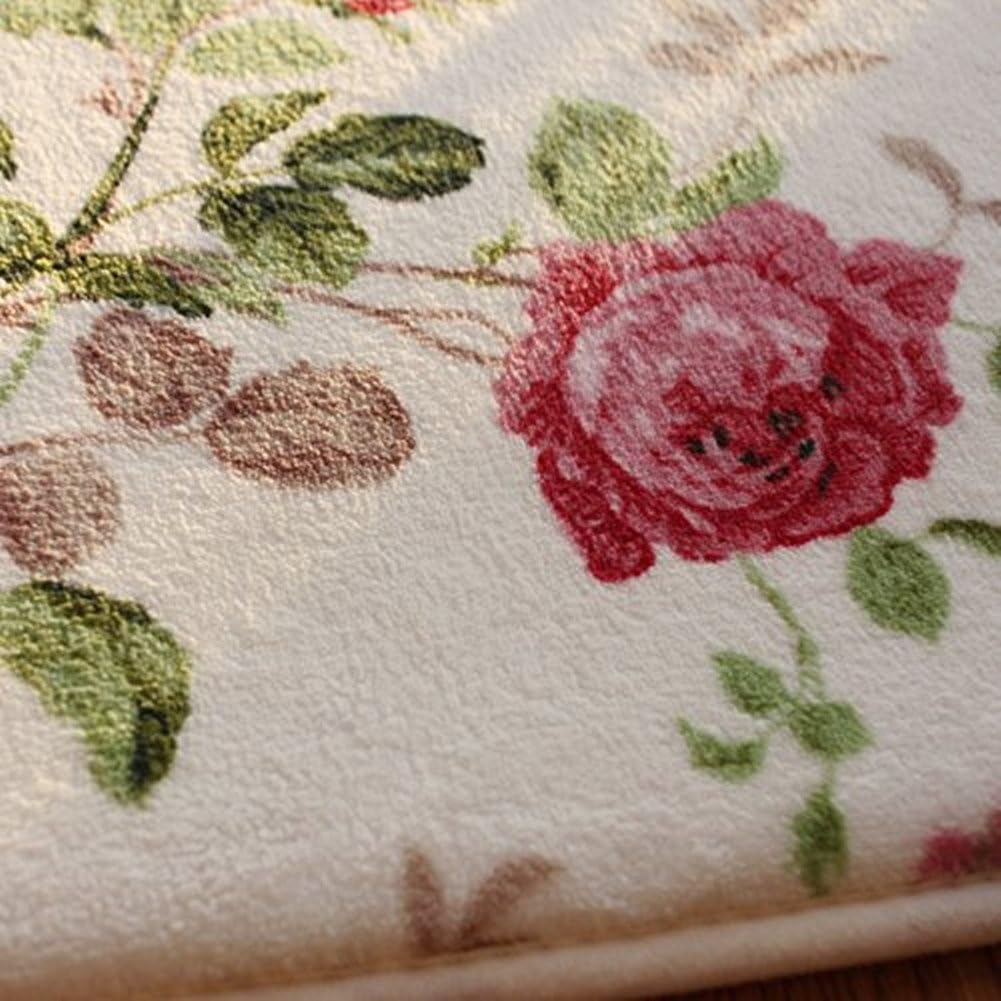 Ukeler Alfombras románticas de estilo campestre americano con estampado de rosas rosas para sala de estar, 39.3 x 59 pulgadas