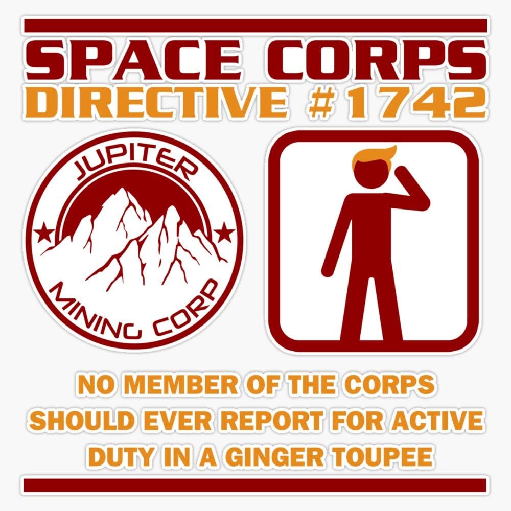 Leyland Designs Jmc Space Corps Directive #1742 – Adhesivo de vinilo para exteriores, para ventanas, parachoques, computadoras portátiles o