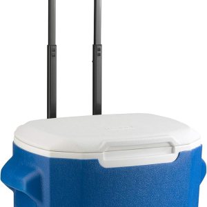 Coleman Coolbox unisex de 28 cuartos de galón, azul, 28 cuartos de galón Coleman Coolbox unisex de 28 cuartos de galón, azul, 28 cuartos de galón