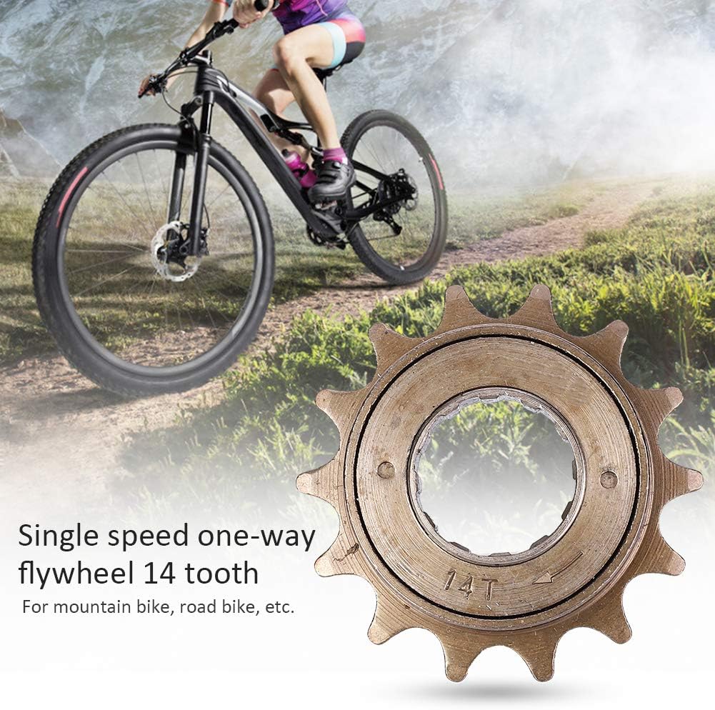 Rueda libre de una sola velocidad, piñón de volante de bicicleta 14T Metal de engranaje fijo Kit de conversión de piezas de bicicleta tipo roscado