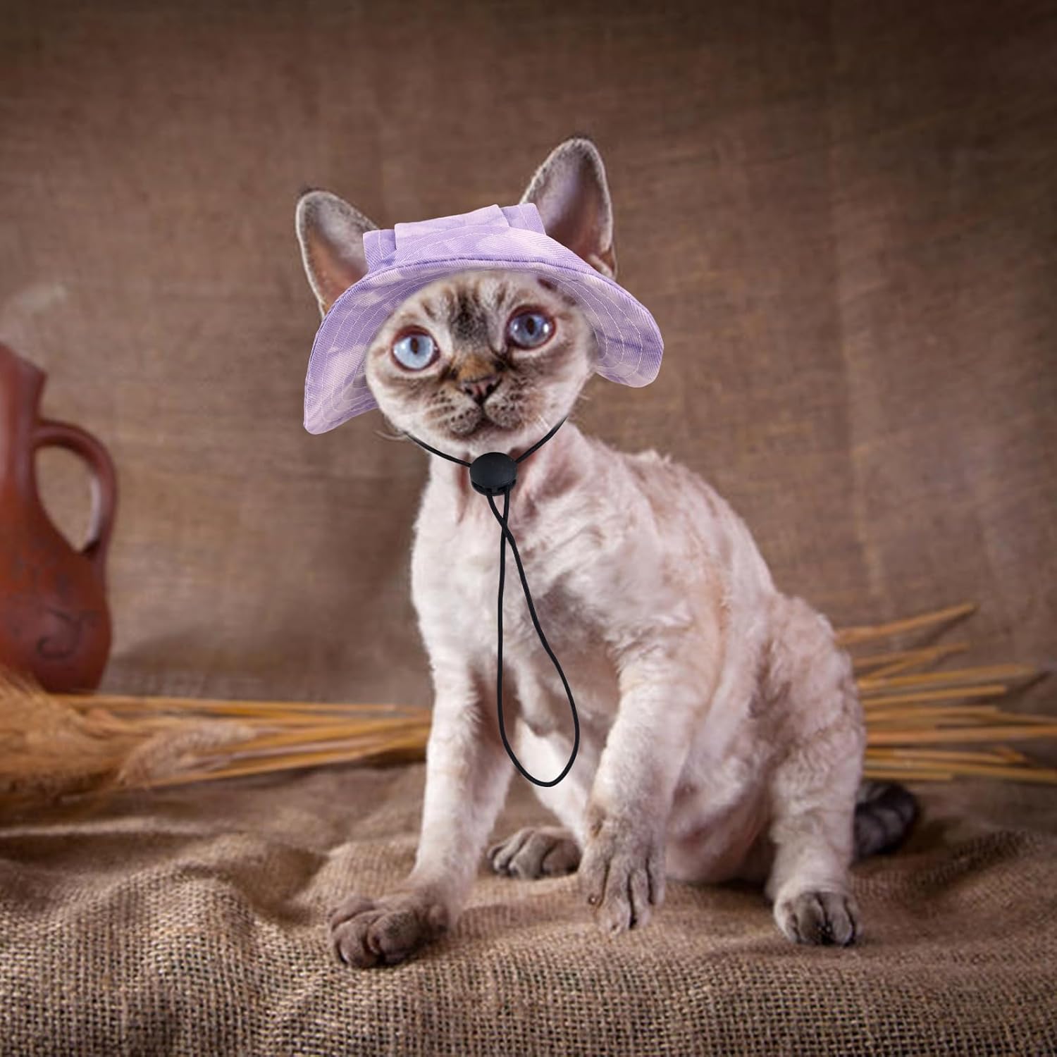 Bonaweite Sombreros de gato solo para gatos, sombrero Sphynx con agujero para las orejas, sombreros de vaquero para fiesta de cumpleaños Halloween,