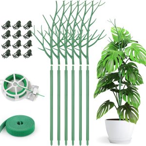 Paquete de 6 estacas de soporte para plantas de interior, ramitas de 27.56 pulgadas con clips de orquÃdeas, lazos giratorios y lazos de plantas para Paquete de 6 estacas de soporte para plantas de interior, ramitas de 27.56 pulgadas con clips de orquÃdeas, lazos giratorios y lazos de plantas para