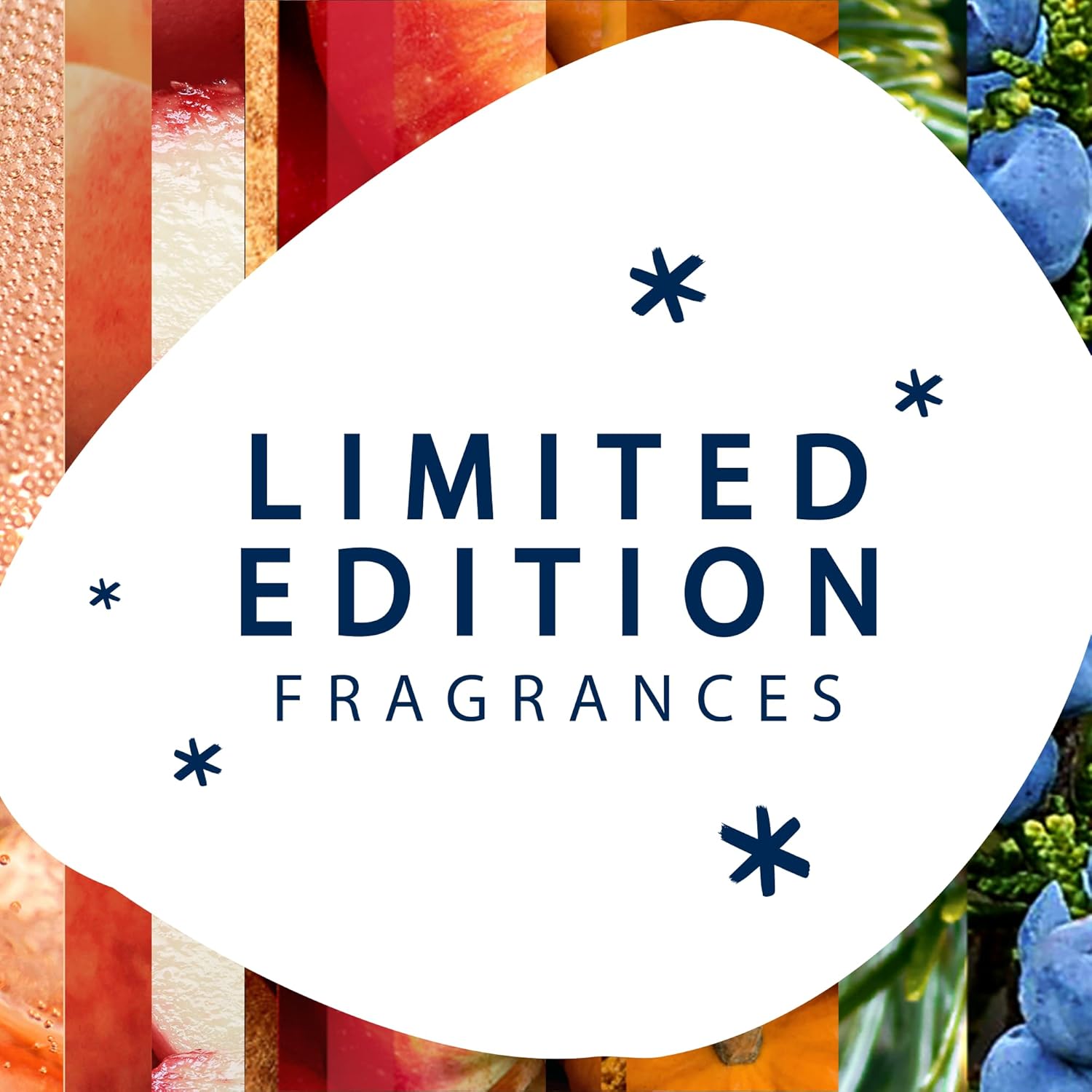 Glade PlugIns – Recambios de ambientador, aceites esenciales y perfumados para el hogar y el baño, Fall Night Long + Starlight & Snowflakes Mix