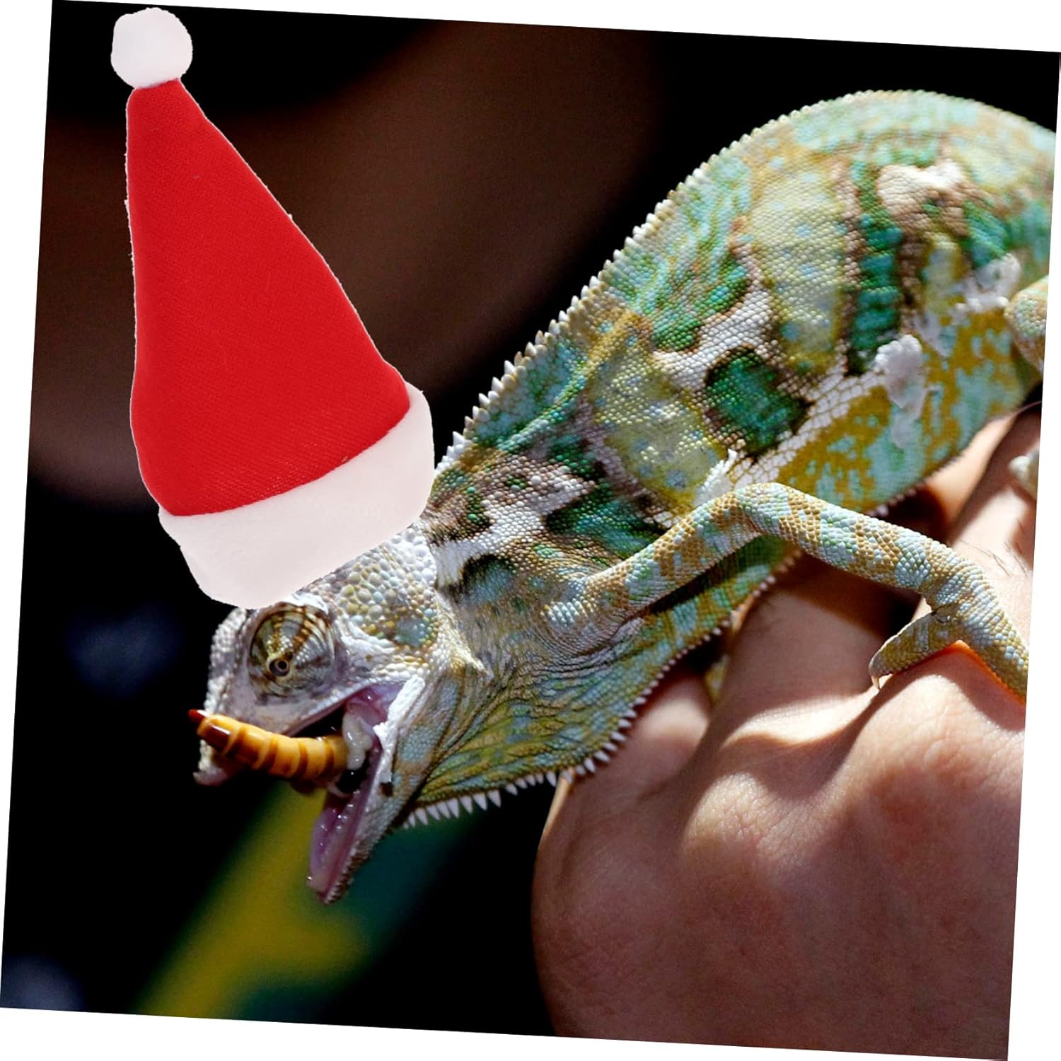 POPETPOP Bufanda de lagarto de dragón barbudo para disfraz de Navidad, correa de reptil para leopardo, Gecko, mascota, Papá Noel, gorra de dragón