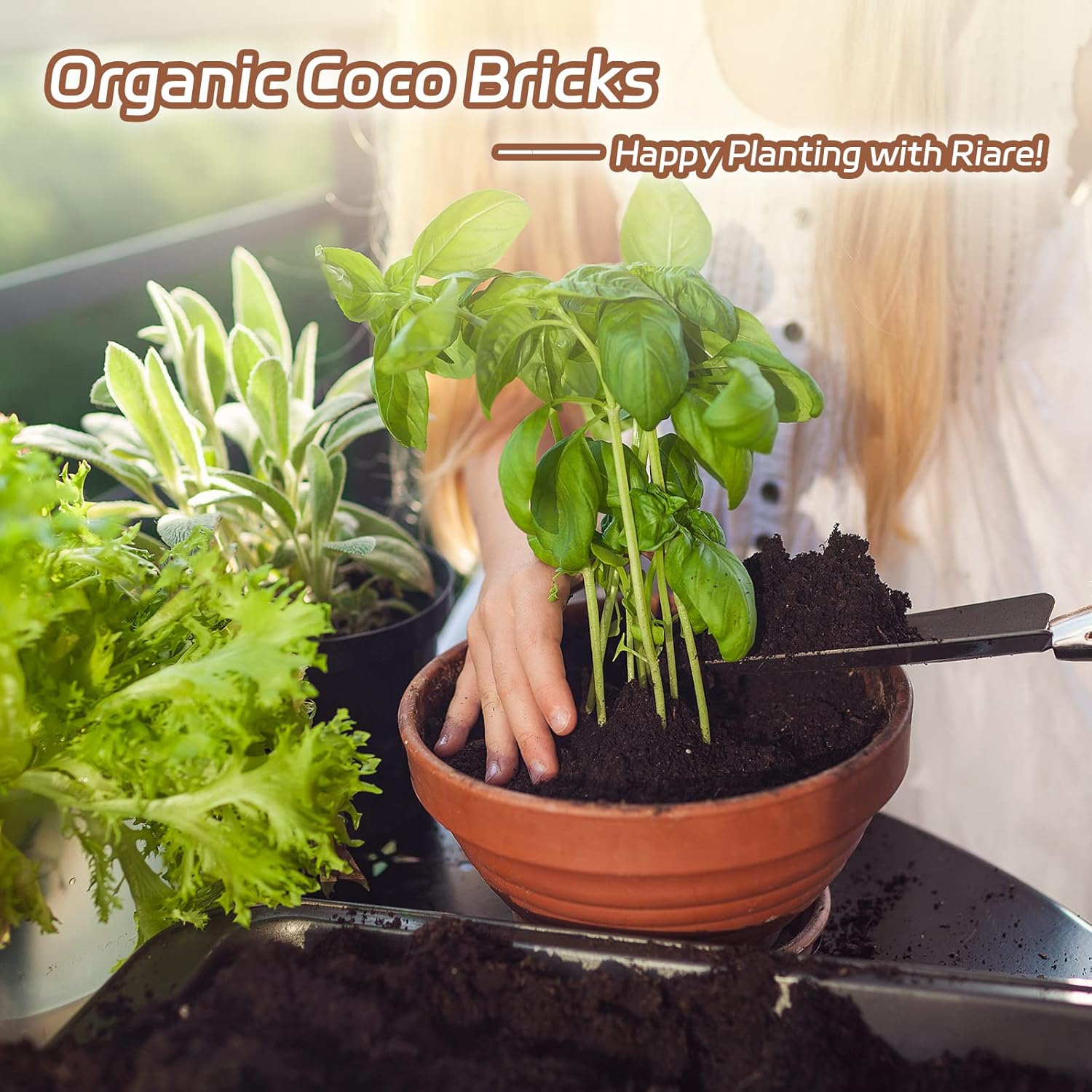 Bloques de suelo de fibra de coco orgánico 100% natural comprimido, ladrillo de turba de coco comprimido, sustrato de fibra de coco con bajo