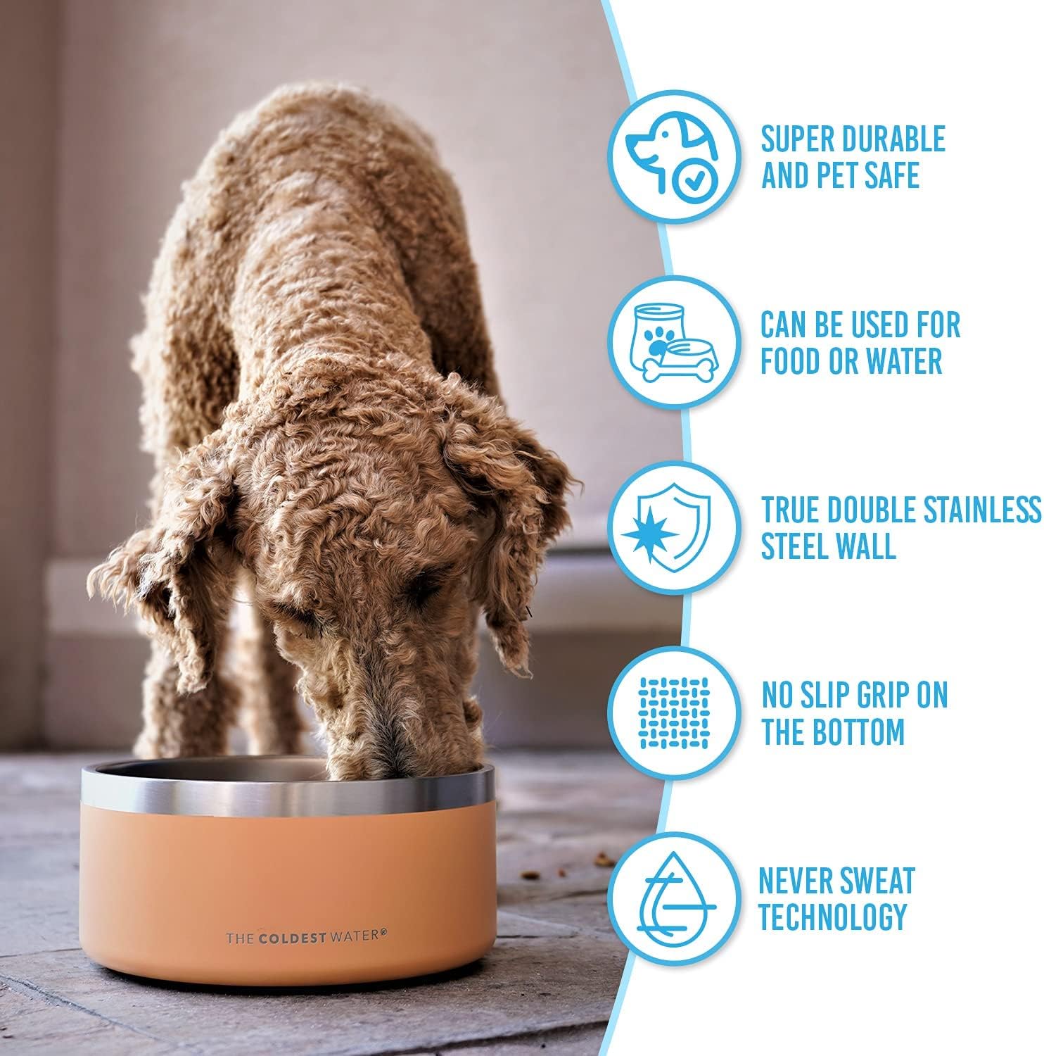 The Coldest Dog Bowl – El plato de alimento para perro que conserva la comida más fresca, es duradero, antideslizante, de acero inoxidable, doble